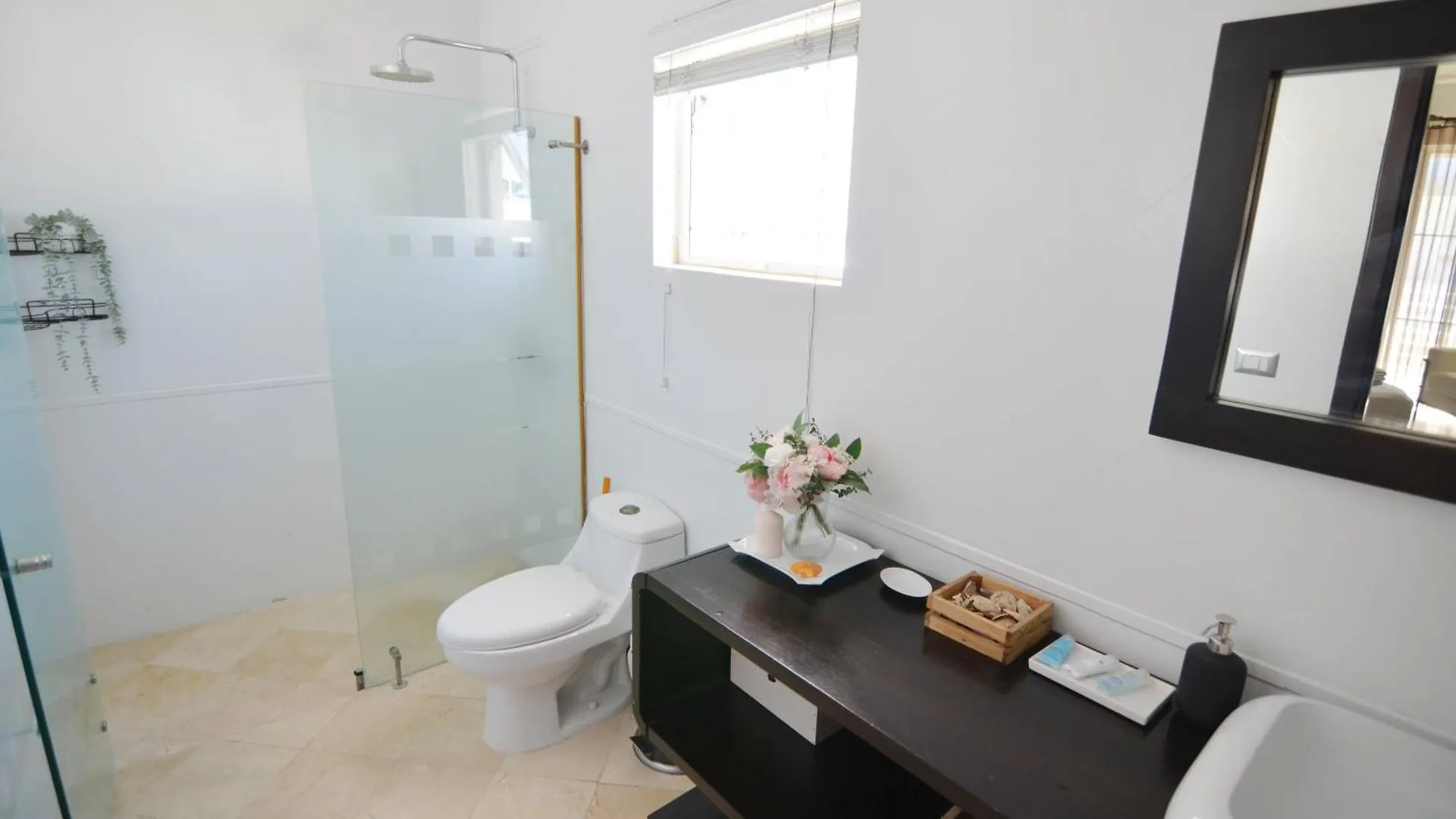 Apartments With Private Beach Punta Cana